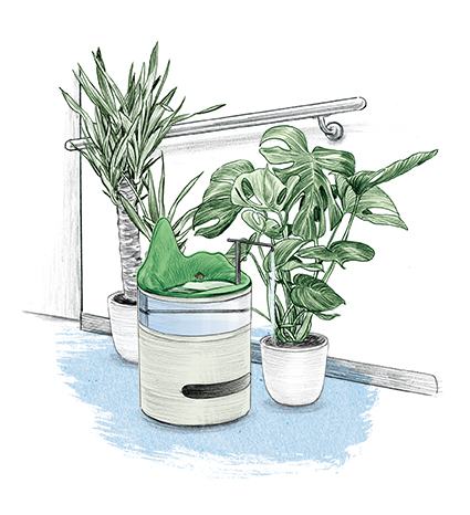 Illustration Zimmerpflanzen mit automatischer Bewässerung