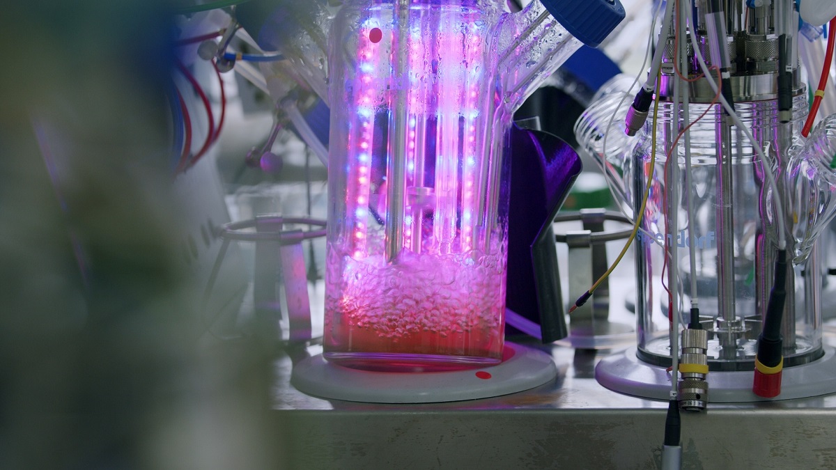 Ein Kolben der mit UV-Licht bestrahlt wird.