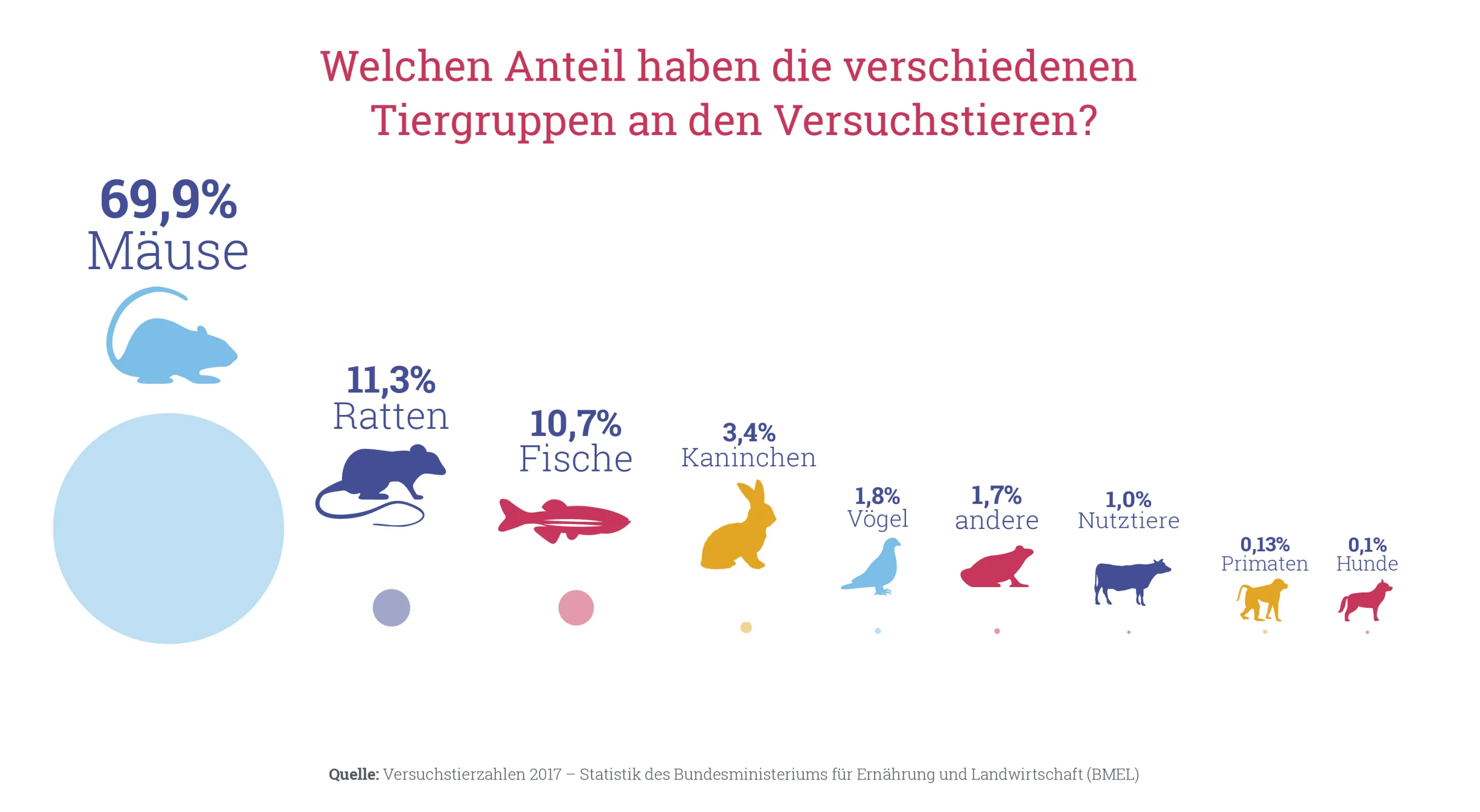 Grafik Welchen Anteil haben die verschiedenen Tiergruppen an den Versuchstieren