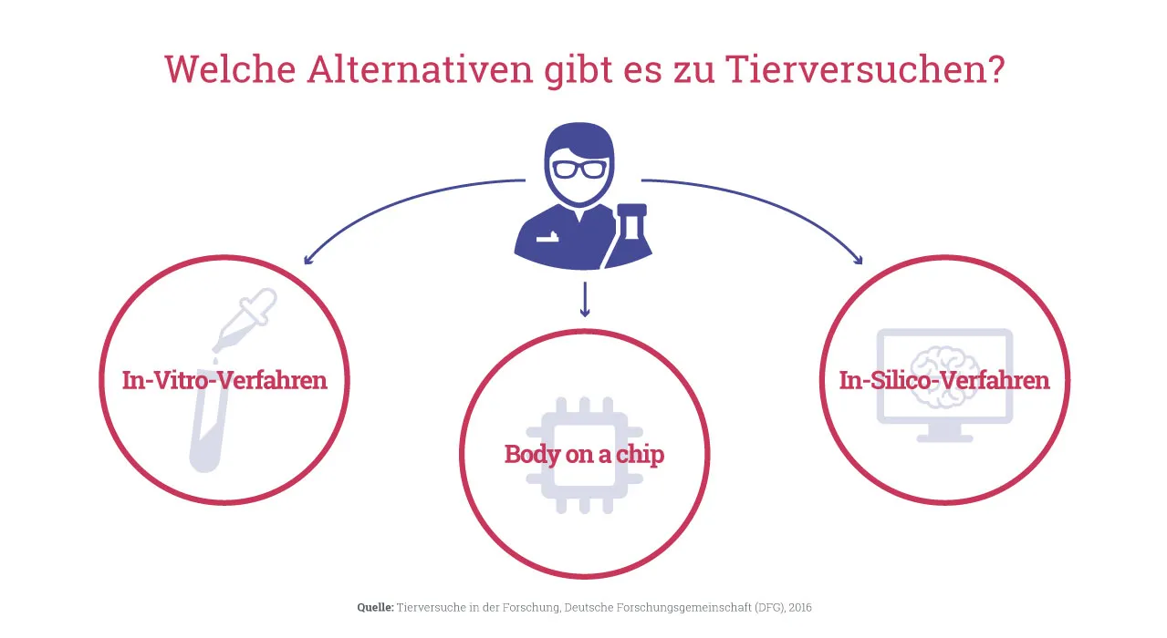 Grafik welche Alternativen gibt es zu Tierversuchen