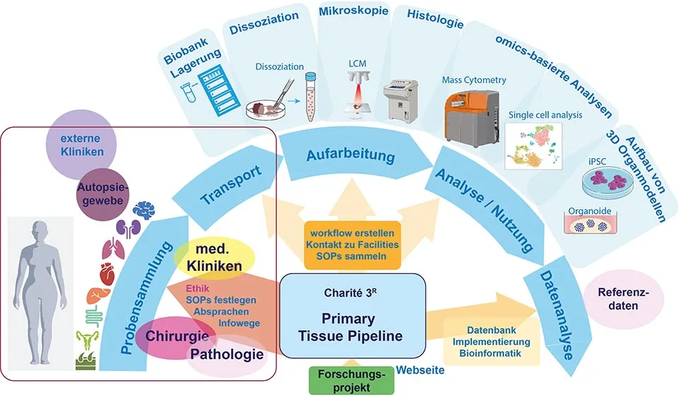 Übersicht über ein Projektvorhaben mit farbigen Illustrationen und Pfeilen