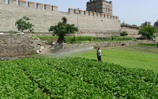 Yedikule Bostans stands in the middle of a green field at the Theodosian wall in Istanbul.