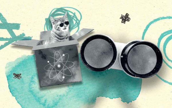 Illustration mit einer Katze in einem Karton