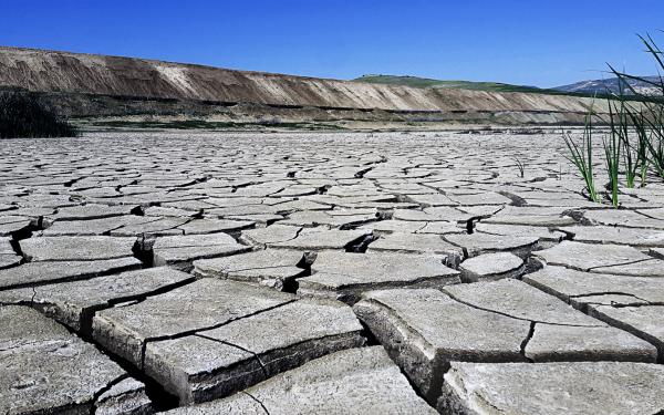 Vertrocknetes Ackerland in Algerien