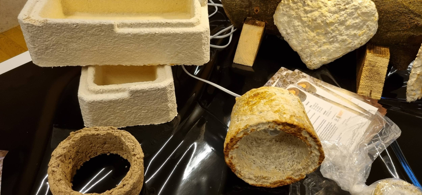 Verschiedene Formen auf Basis von Pilzmyzel