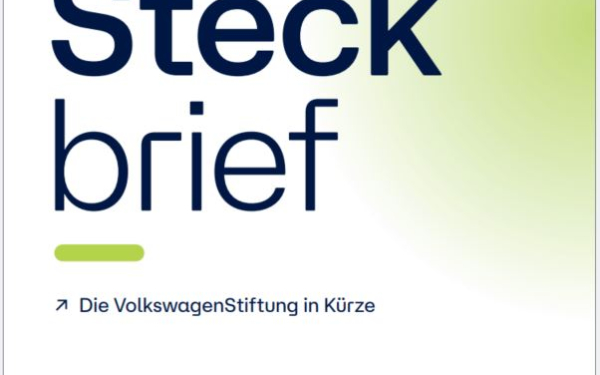 Steckbrief-Publikation der VolkswagenStiftung