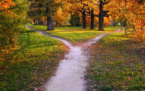 Das Bild zeigt einen Pfad im Sonnenuntergang in einem herbstlichen Park, der sich in zwei schmale Wege verzweigt, die in unterschiedliche Richtungen führen.