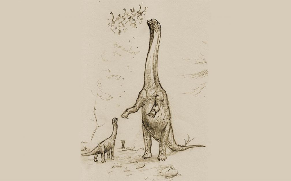 Skizze Dinosaurier 