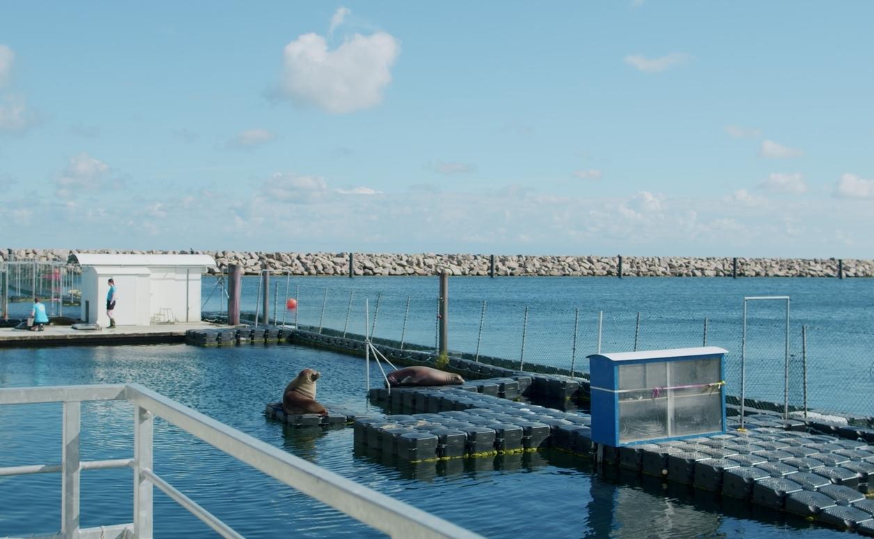 Anlage des Marine Science Centers in Rostock