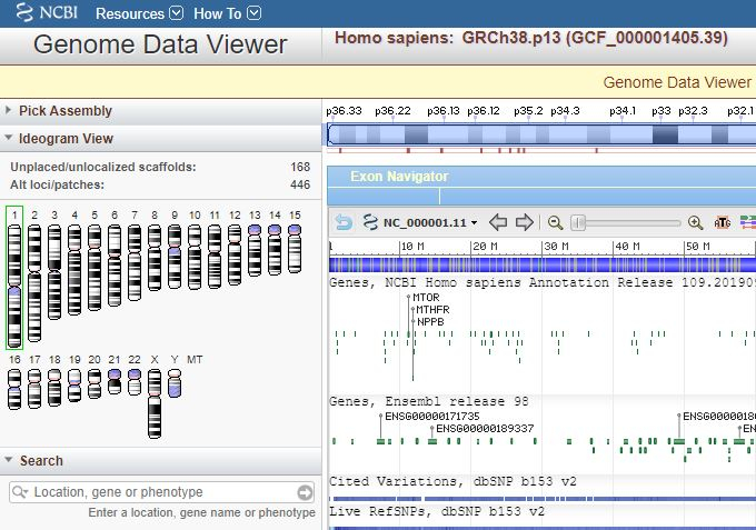 National Center for Biotechnology Information in Bethesda, Maryland Grafik Datenbank