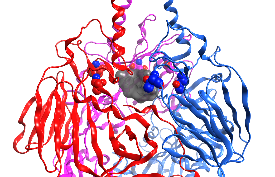 Visualisierung einer Proteinstruktur