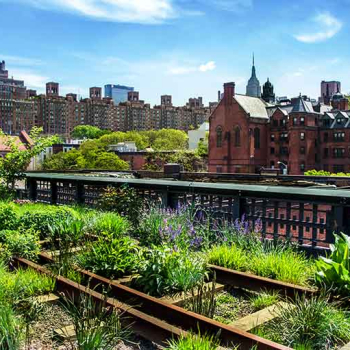 Das Bild zeigt die Highline in New York, eine stillgelegte begrünte Güterzugtrasse.
