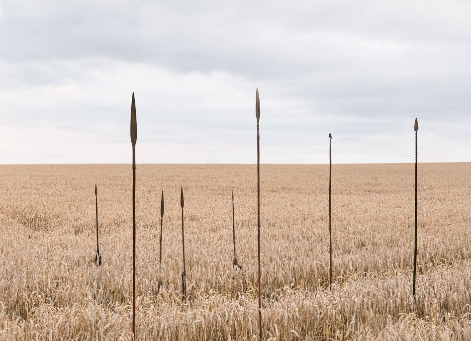 Speere auf einem Feld