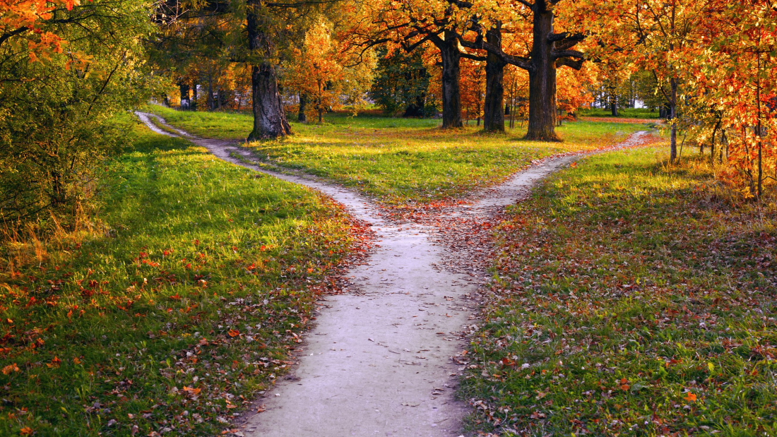 Das Bild zeigt einen Weg im herbstlichen Park, der sich teilt.