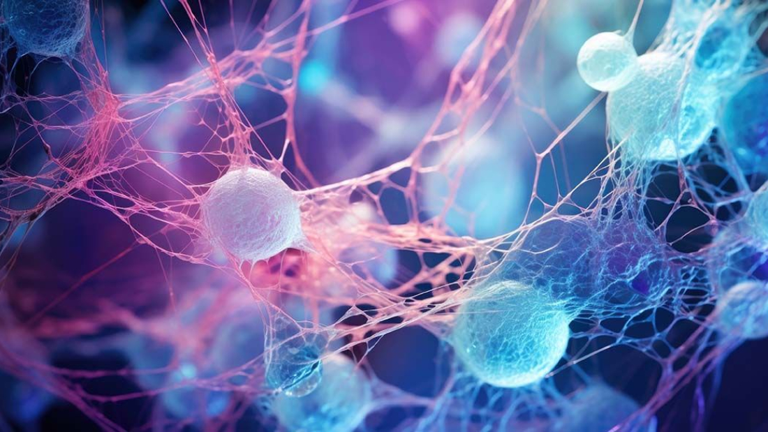 Zu sehen ist ein hormonelles Netz.