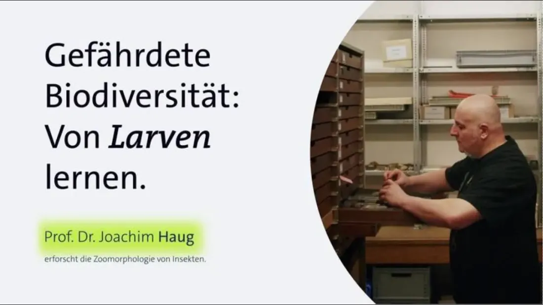 Titel Gefährdete Biodiversität: Von Larven lernen. Daneben sitzt ein Mann und schaut in einen Sammelkasten